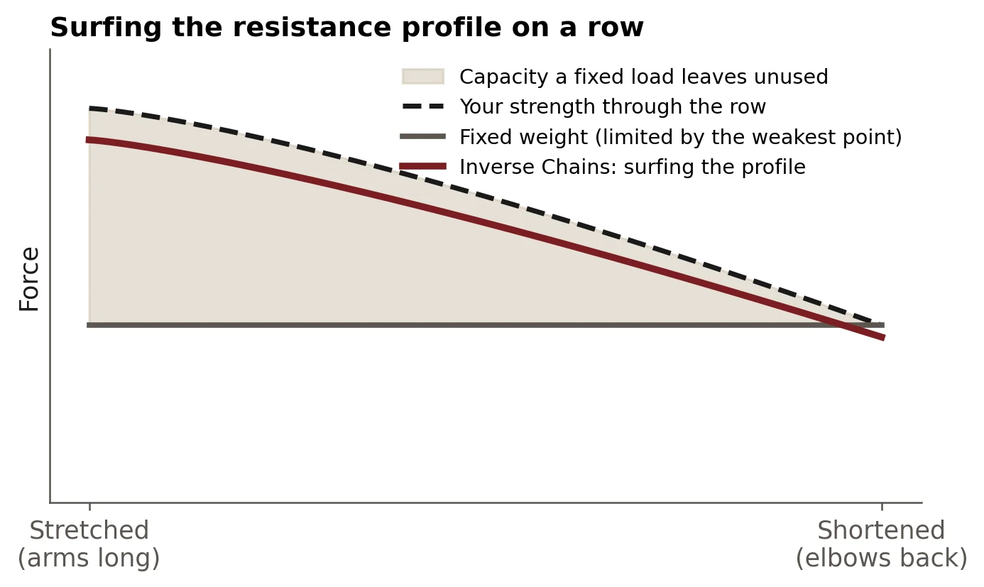 Surfing the resistance profile on a row. Surfing the resistance profile on a row. A fixed weight is capped by the weakest point at the end of the rep, which leaves capacity unused through the rest of the range. Inverse Chains follow the strength curve more closely. Illustrative shapes, not measured data.
