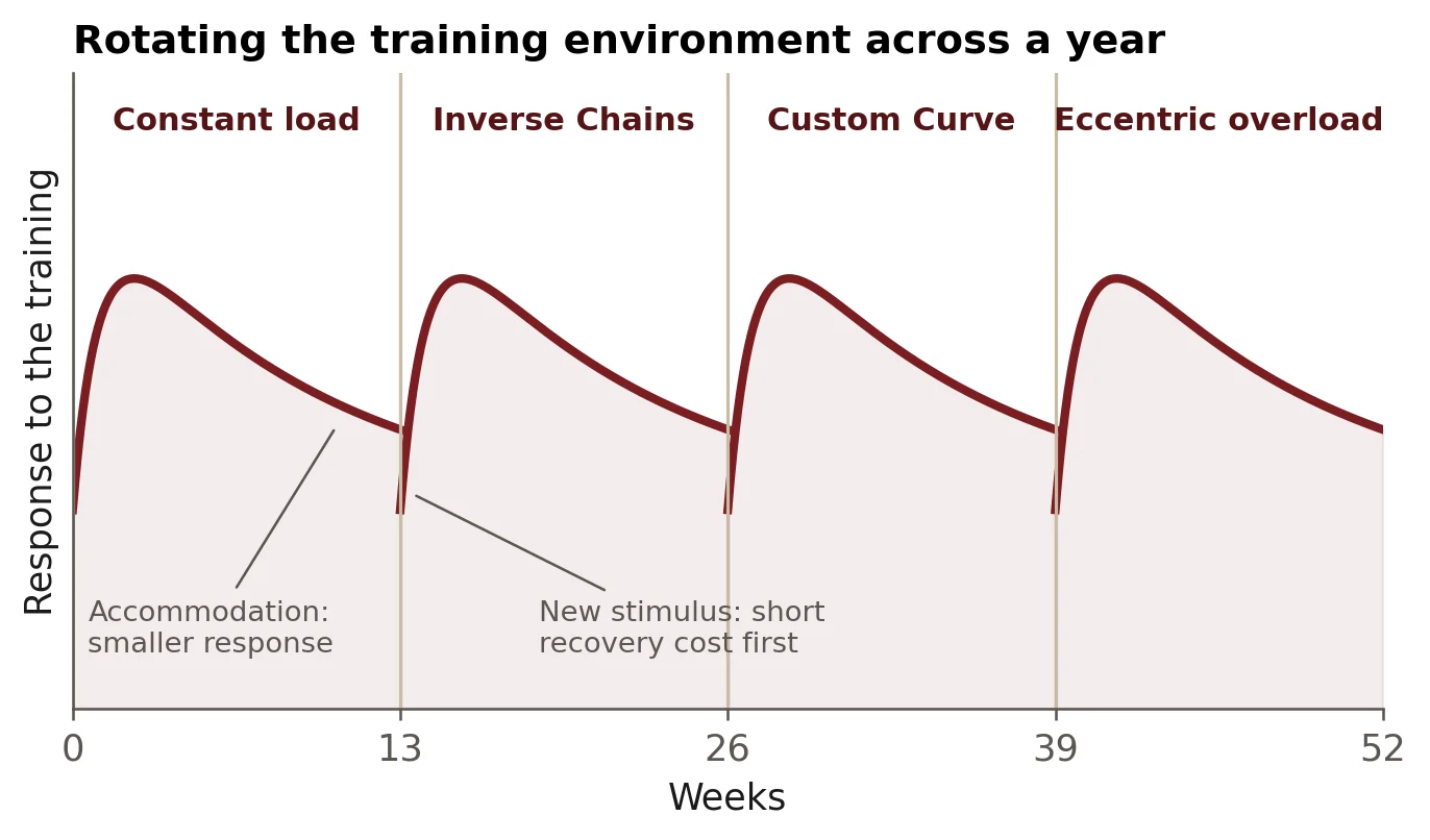 Rotating the training environment across a year. Rotating training environments across a year. Each new environment brings a short recovery cost, then a strong response that fades as you accommodate. Switching at the end of a phase restarts the cycle. Conceptual illustration, not measured data.